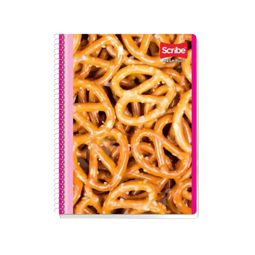 CUADERNO PROFESIONAL ESPIRAL MEGA PLU C5 100H