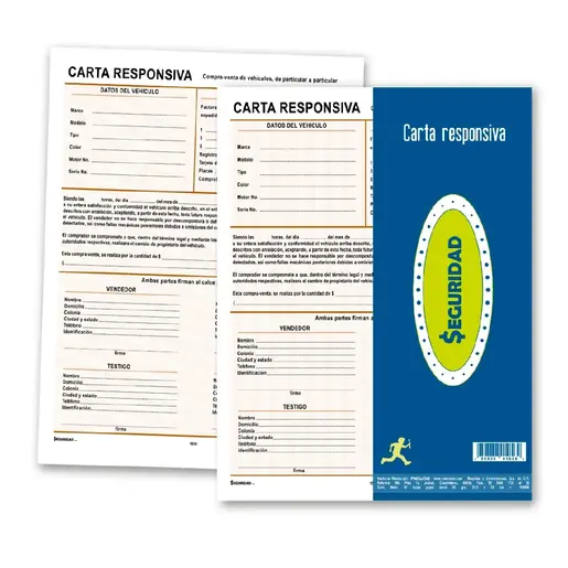 FORMA SEGURIDAD RESPONSIVA CARTA