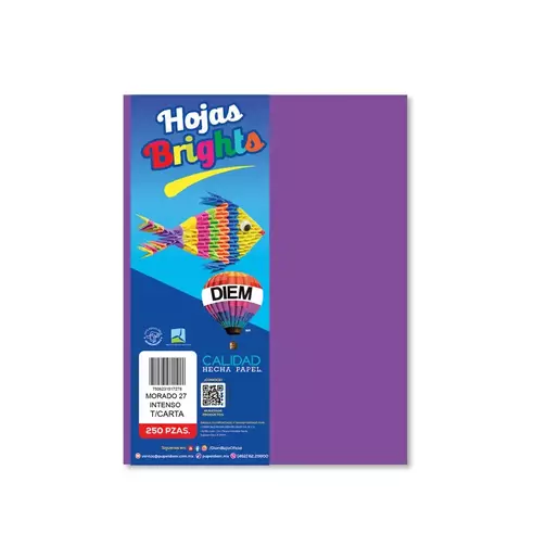 PAPEL BRIGHT DIEM CARTA MORADO