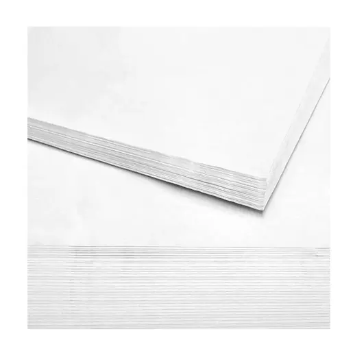 PAPEL MICRO 70 X 95 BLANCO