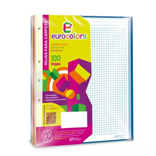 REPUESTO PARA CARPETA PROFESIONAL EURO COLOR C5 100H